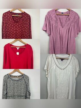 Lot Of 5 Plus Size 2X/3X Womens Tops